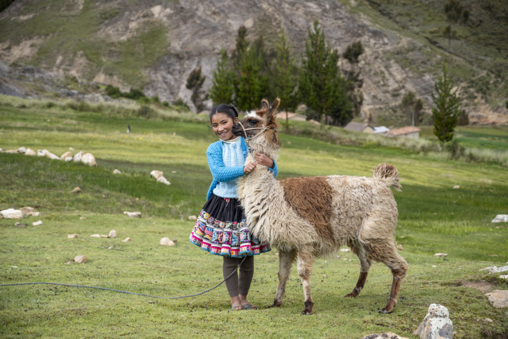 _DSC8811 (1)